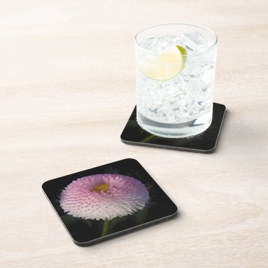 flowers on black - rosa Bellis コースター (右側)