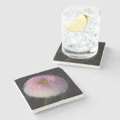 flowers on black - rosa Bellis ストーンコースター (横)