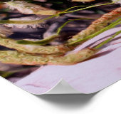 Flowers On Rock Oil Photo Painting ポスター (角)