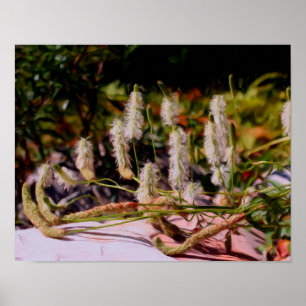 Flowers On Rock Oil Photo Painting ポスター
