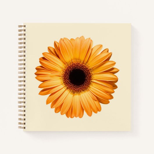 Flowers | Orange Gerbera ノートブック (正面)
