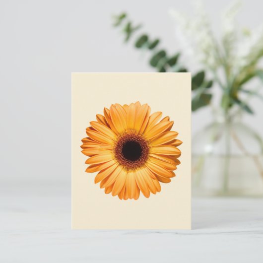 Flowers | Orange Gerbera ポストカード (スタンド正面)