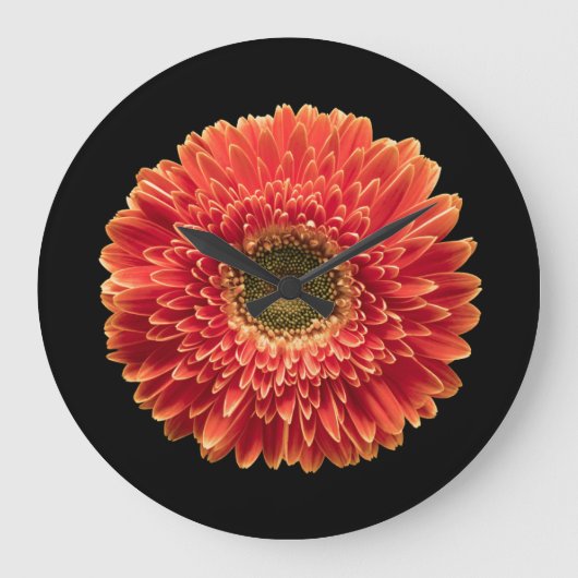 Flowers | Orange Gerbera Daisy ラージ壁時計 (正面)