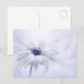 Flowers | Pale Purple Flower ポストカード (正面/裏面)