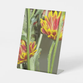 Flowers Photo 台座サイン