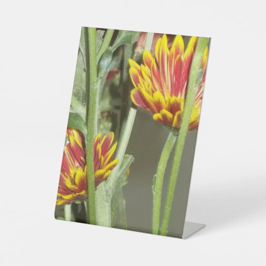 Flowers Photo 台座サイン (正面)