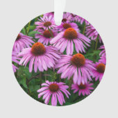 Flowers | Pink Coneflower Garden オーナメント (正面)