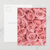 Flowers | Pink Roses ポストカード (正面/裏面)