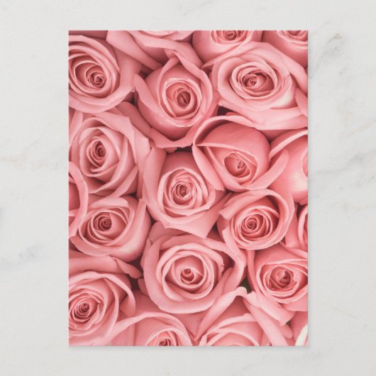 Flowers | Pink Roses ポストカード (正面)