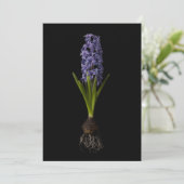 Flowers | Purple Hyacinth Bulb サンキューカード (スタンド正面)
