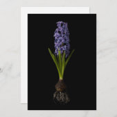 Flowers | Purple Hyacinth Bulb サンキューカード (正面/裏面)
