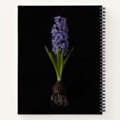 Flowers | Purple Hyacinth Bulb ノートブック (裏面)