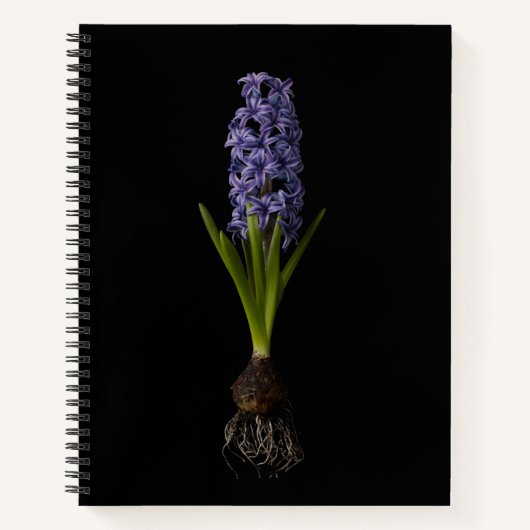 Flowers | Purple Hyacinth Bulb ノートブック (正面)