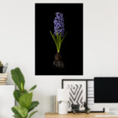 Flowers | Purple Hyacinth Bulb ポスター (ホームオフィス)