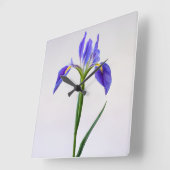 Flowers | Purple Iris Flower スクエア壁時計 (傾斜)