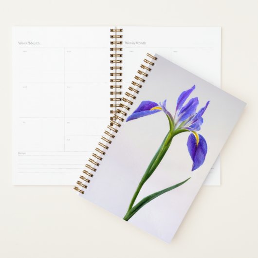 Flowers | Purple Iris Flower プランナー手帳 (ディスプレー)