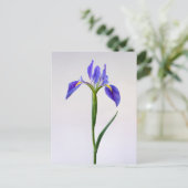 Flowers | Purple Iris Flower ポストカード (スタンド正面)