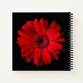 Flowers | Red Gerbera Daisy ノートブック (裏面)