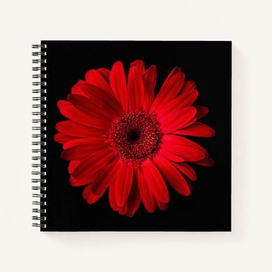 Flowers | Red Gerbera Daisy ノートブック (正面)
