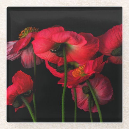 Flowers | Red Poppies ガラスコースター (正面)