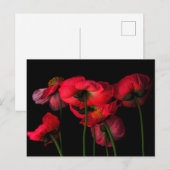 Flowers | Red Poppies ポストカード (正面/裏面)