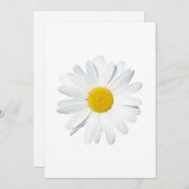 Flowers | Single Daisy サンキューカード (正面/裏面)