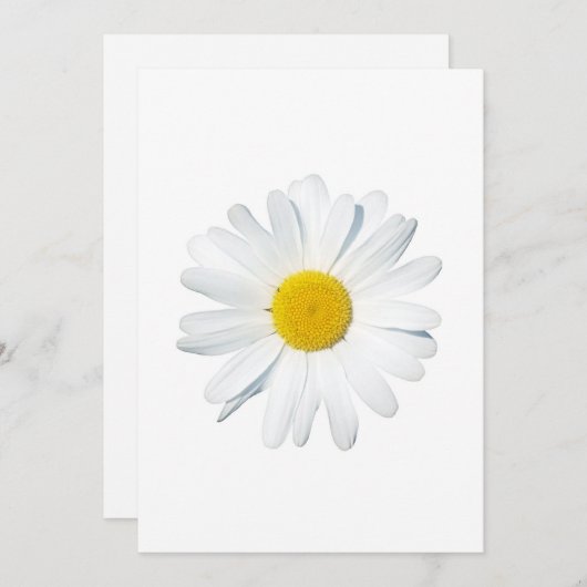 Flowers | Single Daisy サンキューカード (正面/裏面)