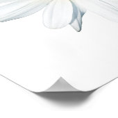 Flowers | Single Daisy ポスター (角)