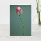 Flowers | Single Tulip Flower カード (正面)