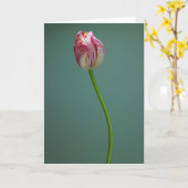 Flowers | Single Tulip Flower カード (黄色い花)