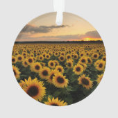 Flowers | Sunflower Field オーナメント (裏面)