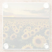 Flowers | Sunflower Field ガラスコースター (裏面)