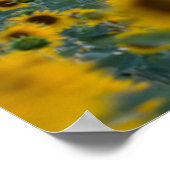 Flowers | Sunflower Field Provence, France ポスター (角)