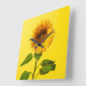 Flowers | Sunflower on Yellow スクエア壁時計 (傾斜)