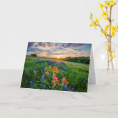 Flowers | Texas Bluebonnets & Indian Paintbrush カード (黄色い花)