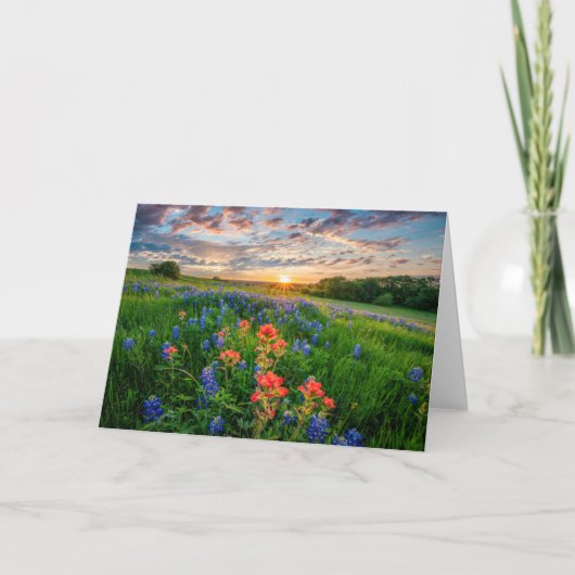 Flowers | Texas Bluebonnets & Indian Paintbrush カード (正面)