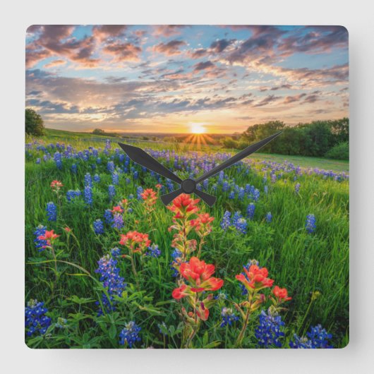 Flowers | Texas Bluebonnets & Indian Paintbrush スクエア壁時計 (正面)