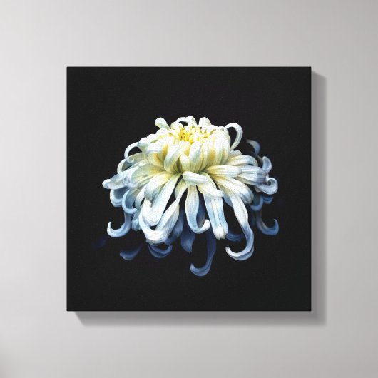Flowers | White Chrysanthemum キャンバスプリント (正面)