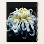 Flowers | White Chrysanthemum プランナー手帳 (裏面)