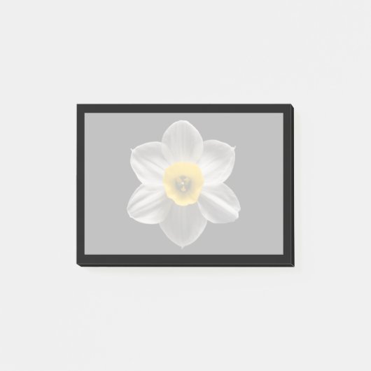 Flowers | White Daffodil Flower ポストイット (正面)