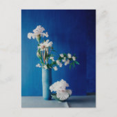 Flowers | White Iris in Vase ポストカード (正面)