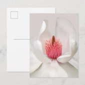 Flowers | White Magnolia ポストカード (正面/裏面)