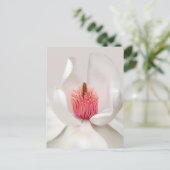 Flowers | White Magnolia ポストカード (スタンド正面)