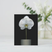 Flowers | White Orchid Flower ポストカード (スタンド正面)
