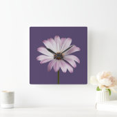Flowers | White & Purple Daisy スクエア壁時計 (ホーム)