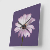 Flowers | White & Purple Daisy スクエア壁時計 (傾斜)
