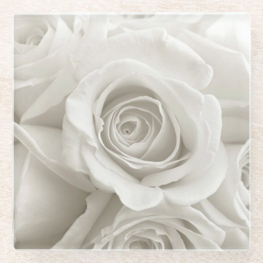 Flowers | White Roses ガラスコースター (正面)