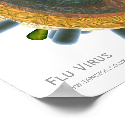 Flu Virus ポスター (角)