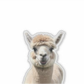 Fluff & Friendship シール (正面)