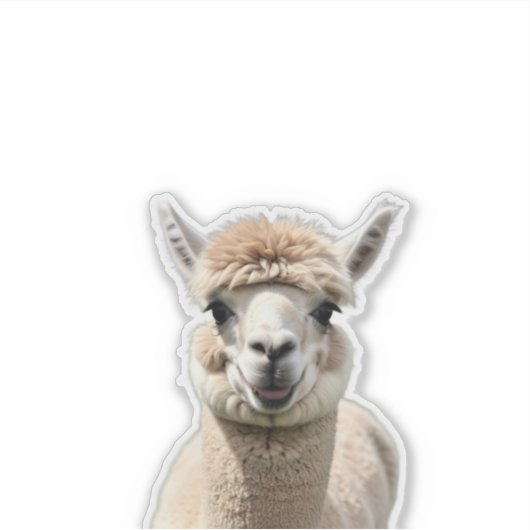 Fluff & Friendship シール (正面)